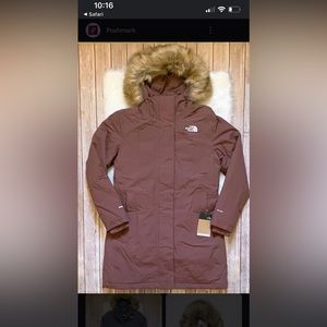 The north face arctic down